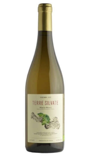 2022 La Distesa Terre Silvate Verdicchio