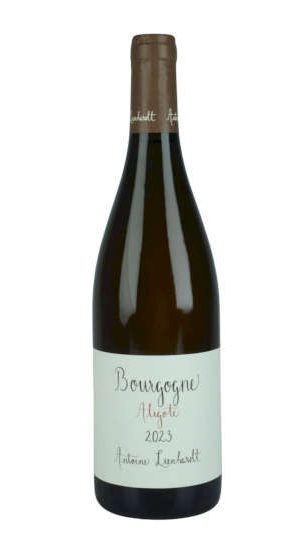 2023 Domaine Lienhardt Bourgogne Aligote